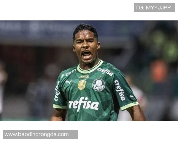 巴西足球明星的黑暗面揭示与排名分析